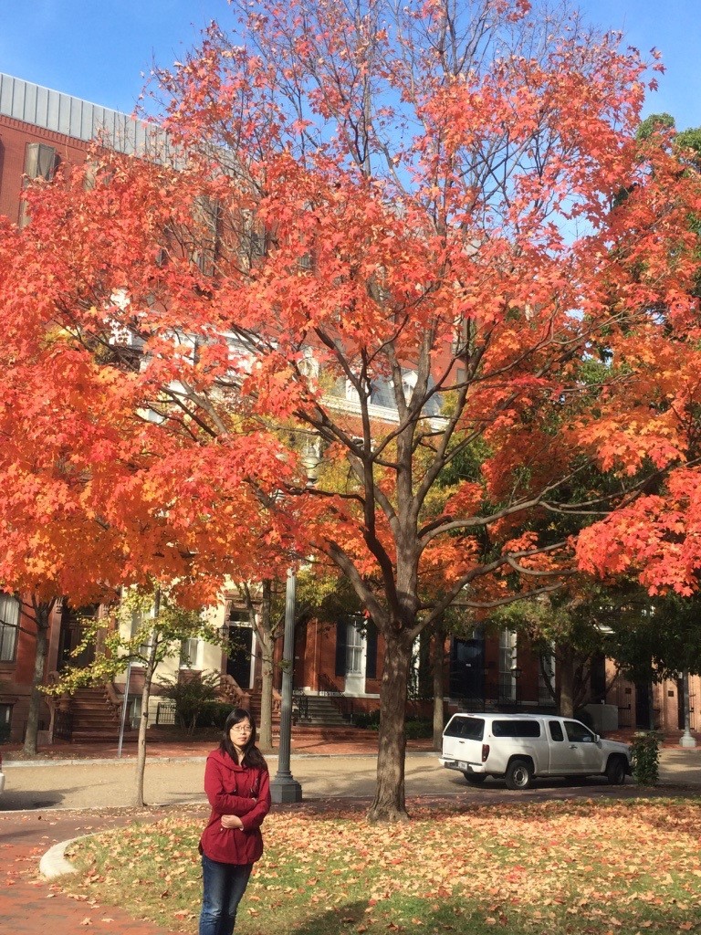 1475986927442068028.jpg pxl.jpg